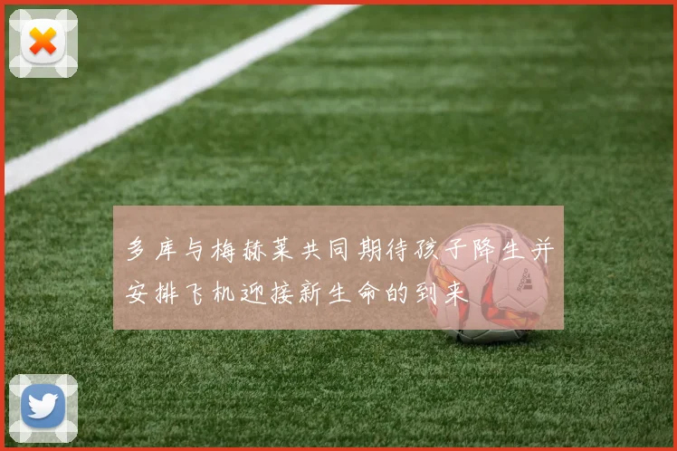 多库与梅赫莱共同期待孩子降生并安排飞机迎接新生命的到来